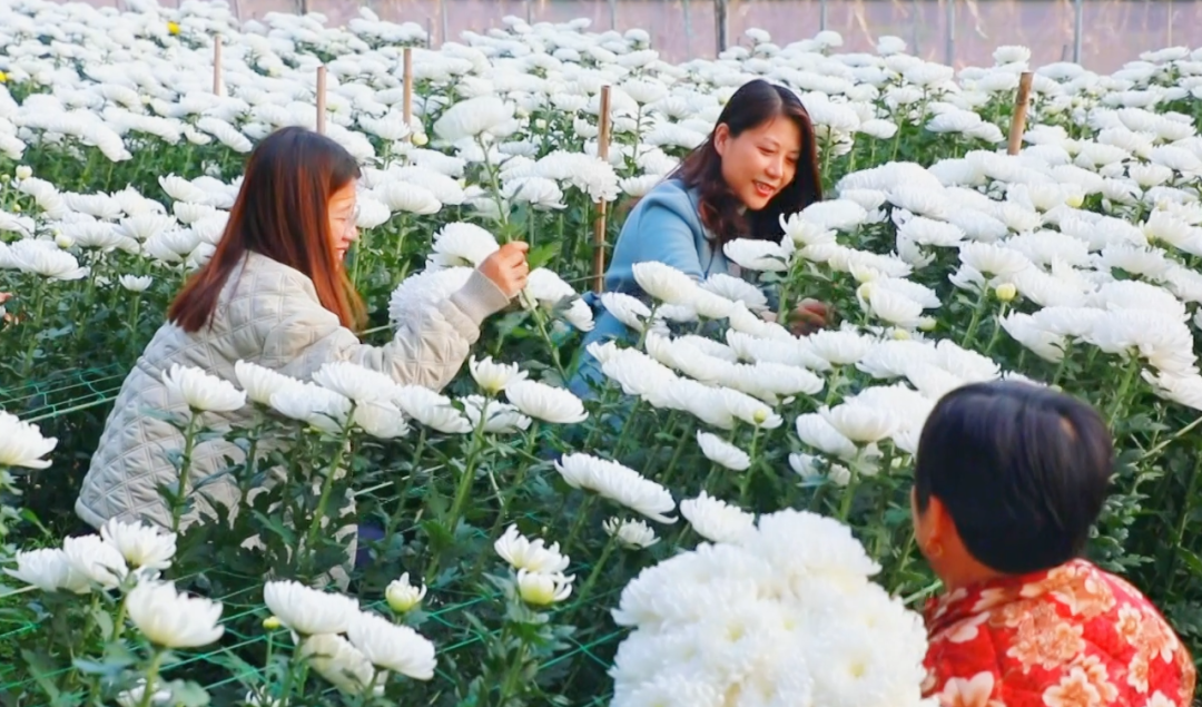 �F�ǅ^(q��)���ջ������M�ء���