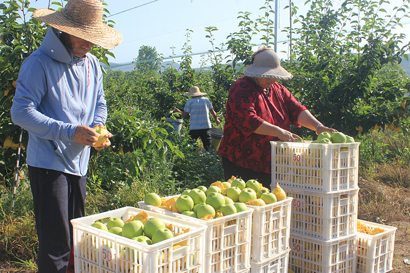 ��óԣ����Ѕ^(q��)ǰ�����@��(g��)���@������������